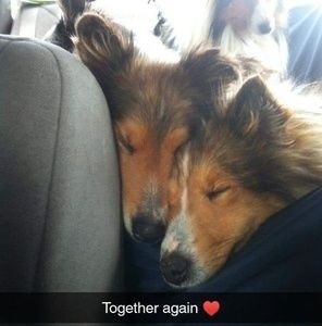 Meet your Posher, Jennifer